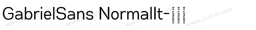 GabrielSans NormalIt字体转换